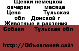 Щенки немецкой овчарки   1.5 месяца › Цена ­ 6 000 - Тульская обл., Донской г. Животные и растения » Собаки   . Тульская обл.